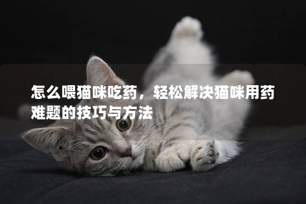 怎么喂猫咪吃药，轻松解决猫咪用药难题的技巧与方法