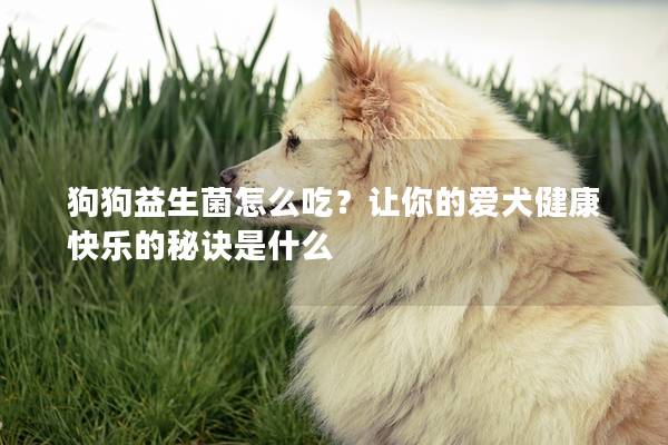 狗狗益生菌怎么吃？让你的爱犬健康快乐的秘诀是什么