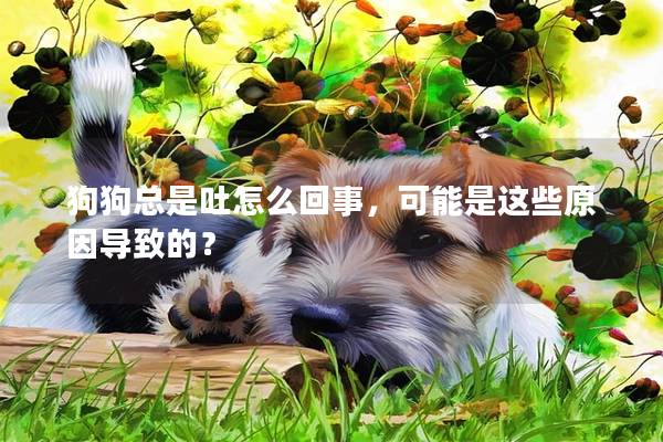 狗狗总是吐怎么回事，可能是这些原因导致的？