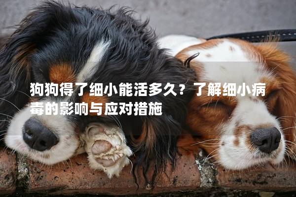 狗狗得了细小能活多久？了解细小病毒的影响与应对措施