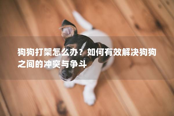 狗狗打架怎么办？如何有效解决狗狗之间的冲突与争斗