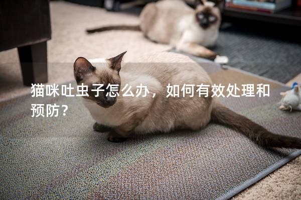 猫咪吐虫子怎么办，如何有效处理和预防？