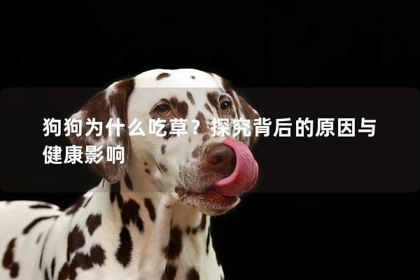 狗狗为什么吃草？探究背后的原因与健康影响