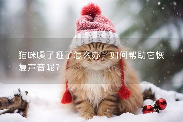 猫咪嗓子哑了怎么办，如何帮助它恢复声音呢？