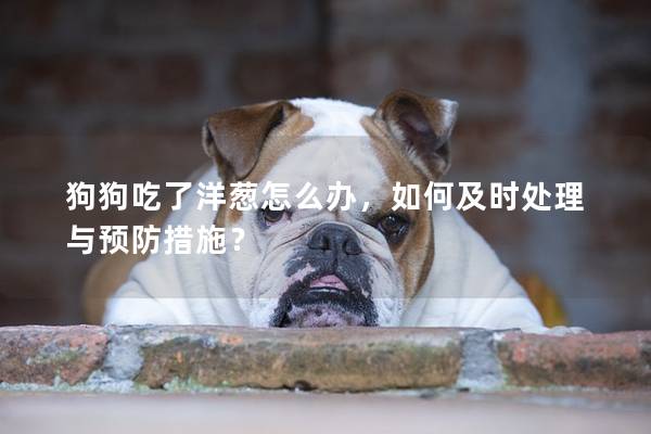 狗狗吃了洋葱怎么办，如何及时处理与预防措施？