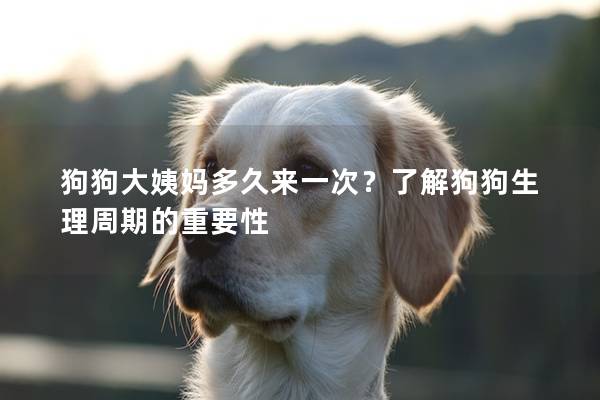 狗狗大姨妈多久来一次？了解狗狗生理周期的重要性