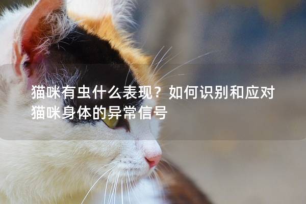 猫咪有虫什么表现？如何识别和应对猫咪身体的异常信号