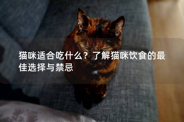 猫咪适合吃什么？了解猫咪饮食的最佳选择与禁忌