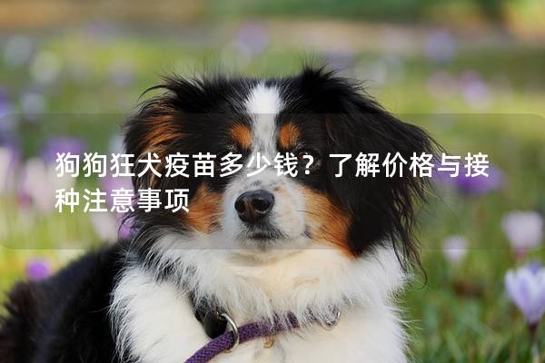 狗狗狂犬疫苗多少钱？了解价格与接种注意事项