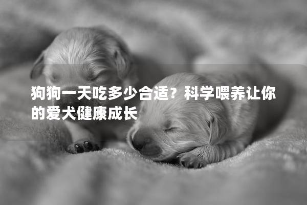 狗狗一天吃多少合适？科学喂养让你的爱犬健康成长