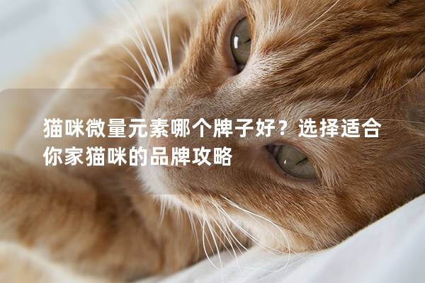 猫咪微量元素哪个牌子好？选择适合你家猫咪的品牌攻略