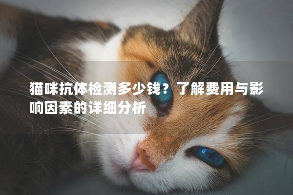 猫咪抗体检测多少钱？了解费用与影响因素的详细分析