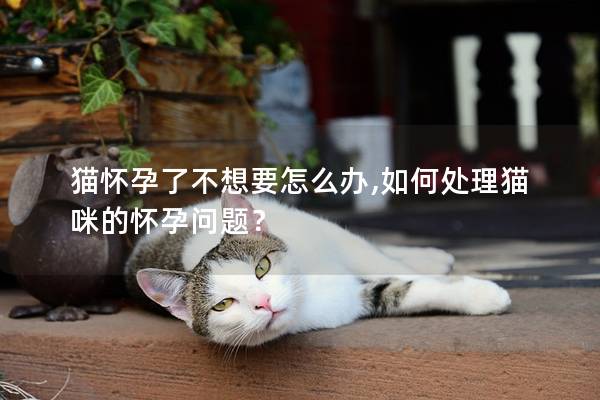 猫怀孕了不想要怎么办,如何处理猫咪的怀孕问题？