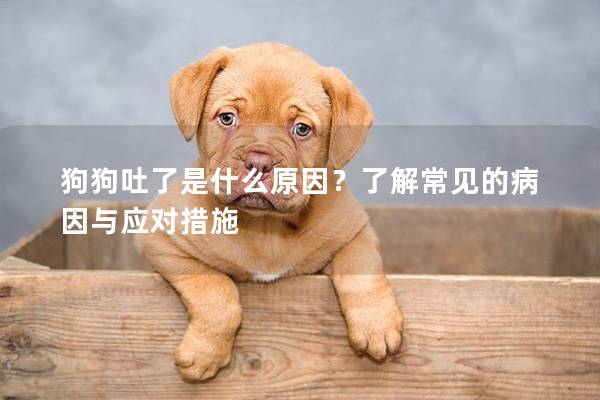 狗狗吐了是什么原因?了解常见的病因与应对措施