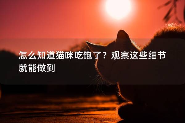 怎么知道猫咪吃饱了？观察这些细节就能做到