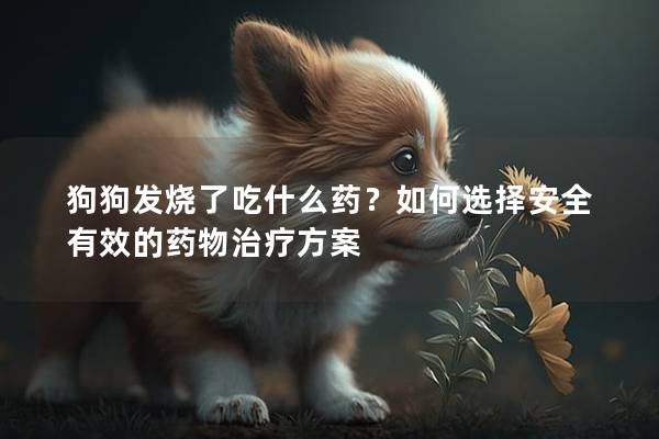 狗狗发烧了吃什么药？如何选择安全有效的药物治疗方案