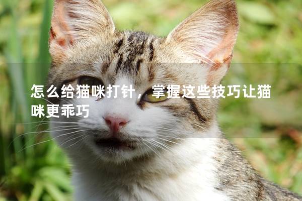 怎么给猫咪打针，掌握这些技巧让猫咪更乖巧