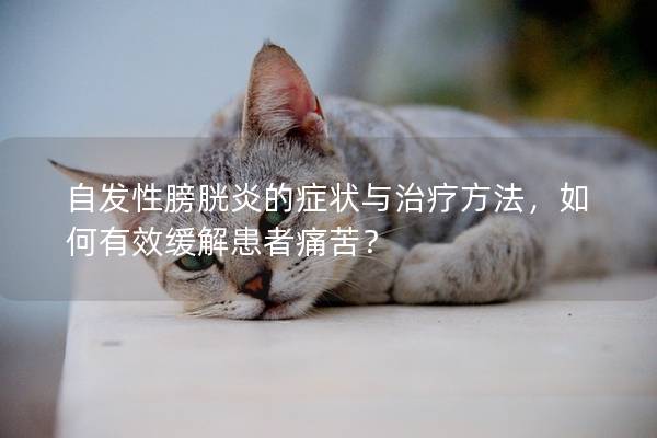 自发性膀胱炎的症状与治疗方法，如何有效缓解患者痛苦？