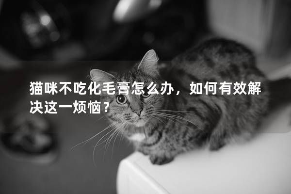 猫咪不吃化毛膏怎么办，如何有效解决这一烦恼？