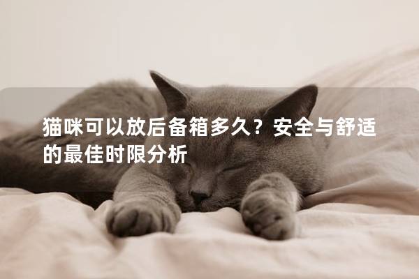 猫咪可以放后备箱多久？安全与舒适的最佳时限分析