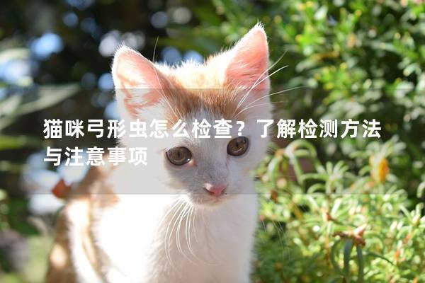 猫咪弓形虫怎么检查？了解检测方法与注意事项