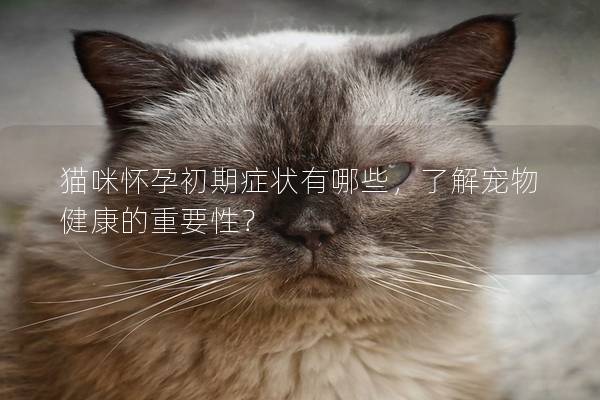 猫咪怀孕初期症状有哪些，了解宠物健康的重要性？