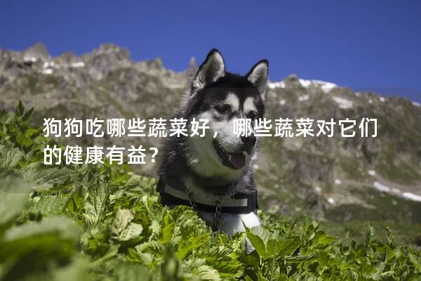 狗狗吃哪些蔬菜好，哪些蔬菜对它们的健康有益？