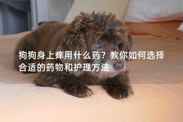 狗狗身上痒用什么药？教你如何选择合适的药物和护理方法